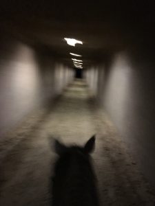 Nighttime tunnel under the freeway.